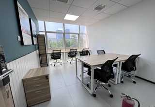 广东水溶肥海藻肥抗碱