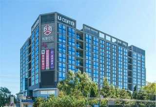 惠安大型绿植出租