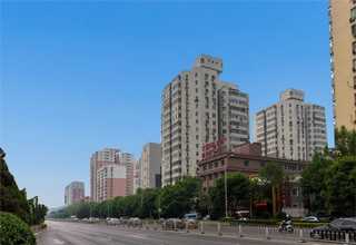 山西黄腊管多少钱